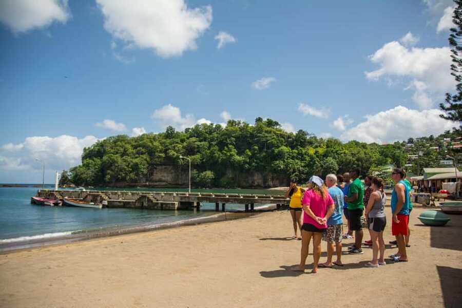 Saint Lucia: Soufriere Volcano Experience - Who should book this St. Lucia tour?
