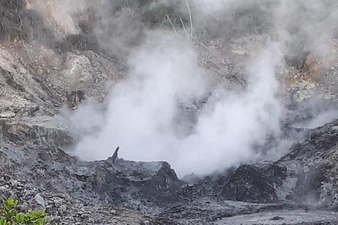 Saint Lucia Sulphur Springs Rejuvenating Mud Bath Tour - A Five-Minute Stop at Canaries and La Plas Kassav