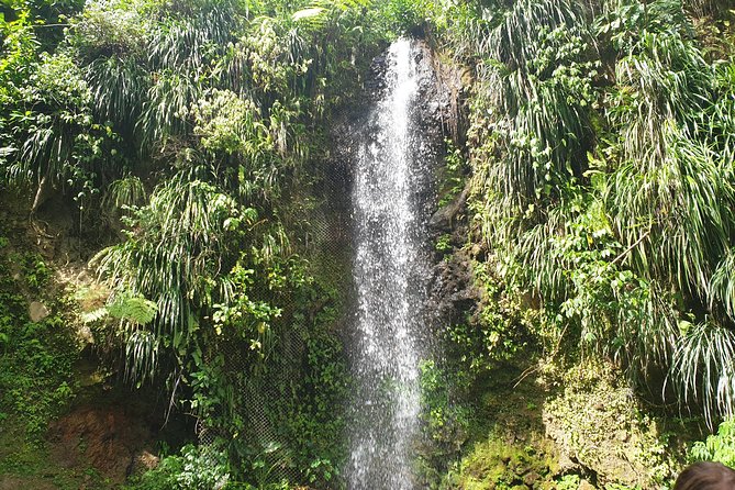 Scenic Tour of Soufriere - Entering La Soufriere Drive-In Volcano