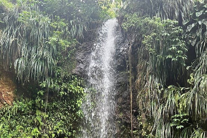 Sea and Land Tour in St. Lucia - Why This Tour Works for a Short St. Lucia Visit