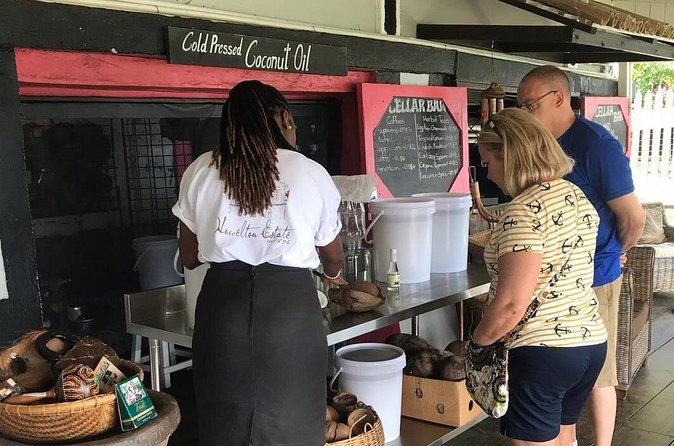 Shopping - St Lucia Got Talent Tour - How much guidance should you expect?