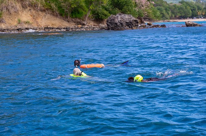 Snorkeling at Pigeon Island - What you may see around Pigeon Island