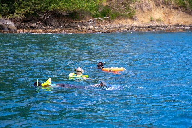 Snorkeling at Pigeon Island - Weather and water clarity are the real variables