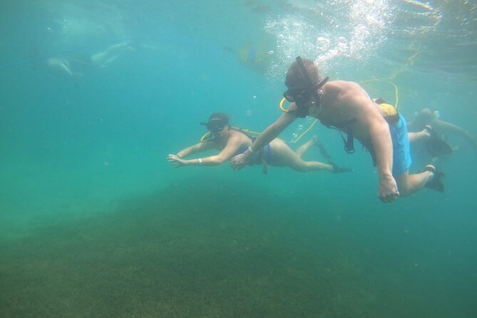 SNUBA Saint Lucia - Exploring marine life at a maximum of 20 feet
