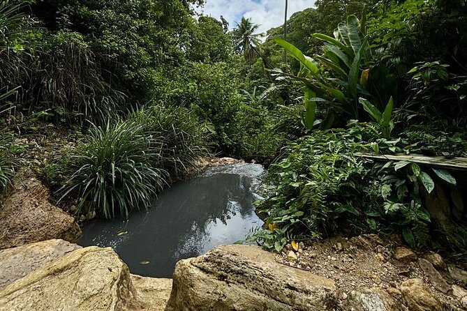 Soufriere Catamaran Excursion & Sapphire Falls Hike - Marigot Bay closes the coastal loop