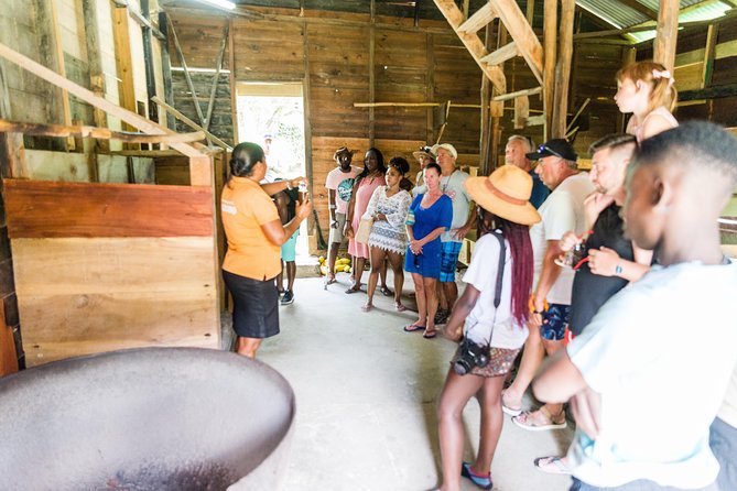 Soufriere Excursion with Rum & Chocolate Tasting - Music, staff, and the feel of the day