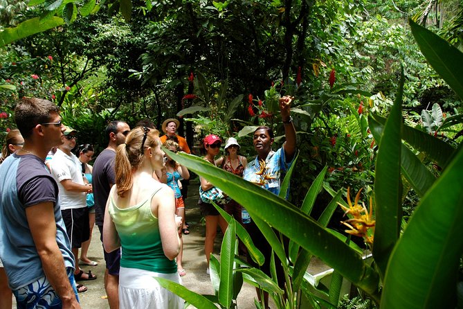 Soufriere Island Delight - Why this half-day tour covers so much
