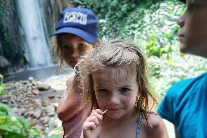 Soufriere Special Day Tour - What the guide can add
