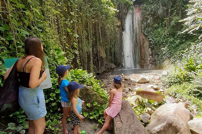 Soufriere Special Day Tour - La Soufriere, mud baths, and sulfur springs