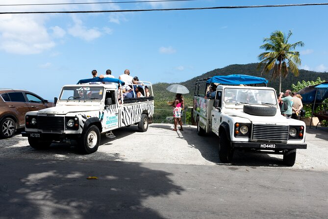 Soufriere Volcano Experience - 11:30 a.m. at Sulphur Springs and the mud bath