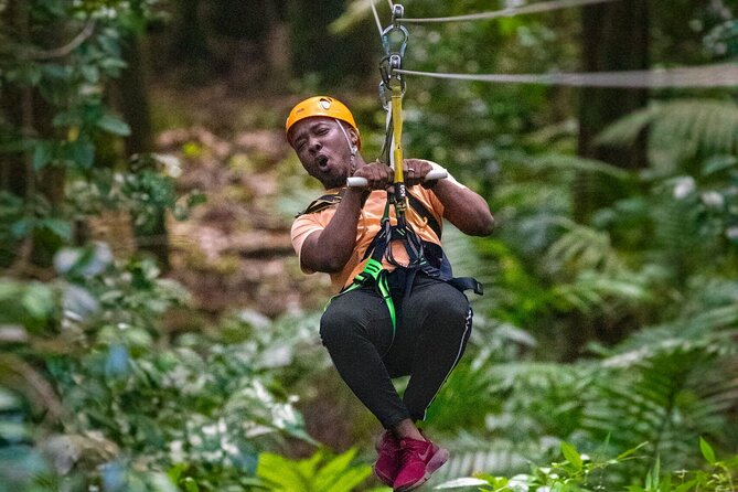 St. Lucia 3 in 1 Combo: Aerial Tram, Rainforest Trail & Zipline - Five things to know before you book