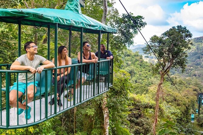 St. Lucia 3 in 1 Combo: Aerial Tram, Rainforest Trail & Zipline - A five-hour route into the Castries Waterworks Reserve