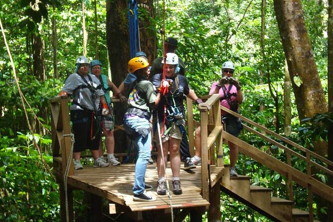 St. Lucia 3 in 1 Combo: Aerial Tram, Rainforest Trail & Zipline - Is $107 good value?