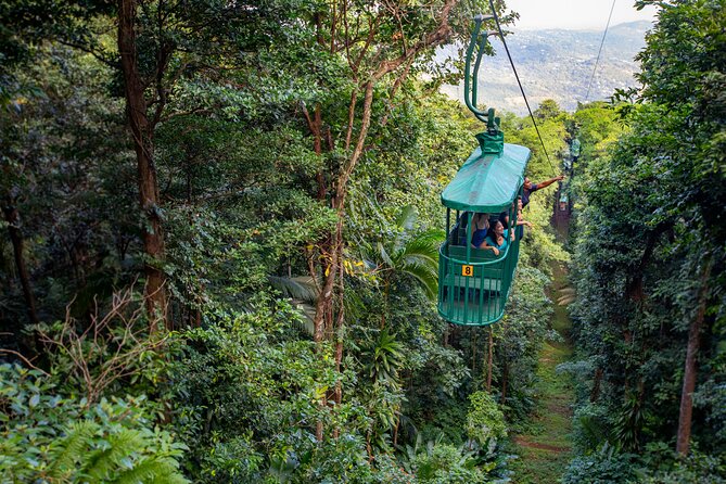 St. Lucia Aerial Tram Tour at Rainforest Adventures - Key points to know before you go