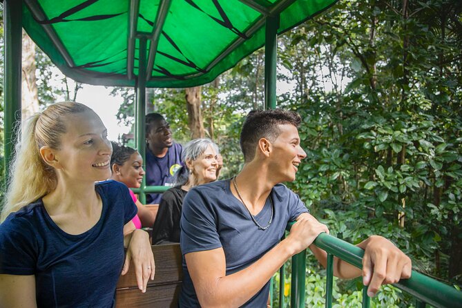 St. Lucia Aerial Tram Tour at Rainforest Adventures - Riding above the Castries Waterworks Forest Reserve