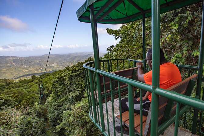 St. Lucia Aerial Tram Tour at Rainforest Adventures - The fern trail brings you back to ground level