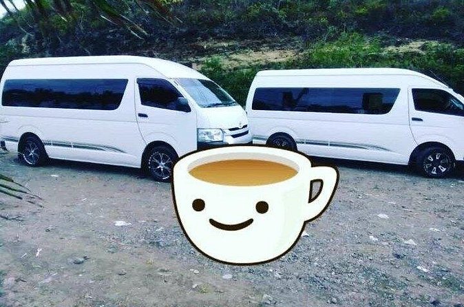 St Lucia Airport Transfer Hewanorra (UVF) to SANDALS Grande - Regency - Halcyon - Service quality and what to expect from the driver