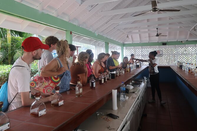 St Lucia ATV Tour : Waterfall, Plantation, Beach and Distillery - Rainforest paths and the waterfall walk