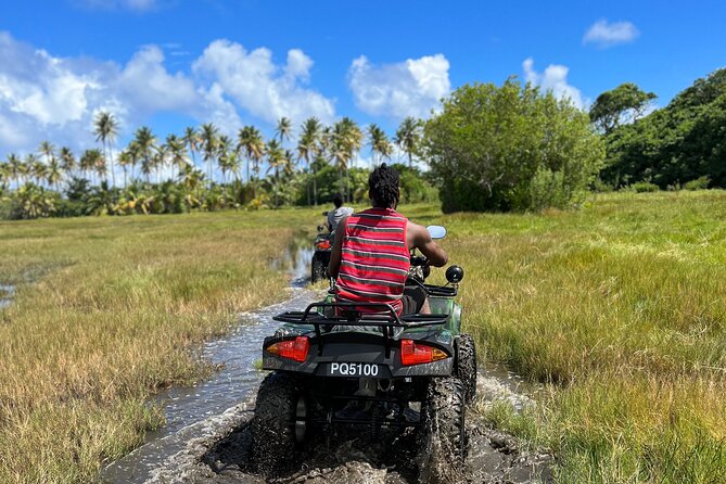 St Lucia ATV Tours (Best on Island) - Guides, group size, and the private-tour advantage