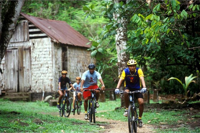 St Lucia Bike and Hike - What this St Lucia bike tour actually feels like