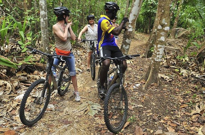 St Lucia Bike and Hike - The ride, road sections, and rainforest feel