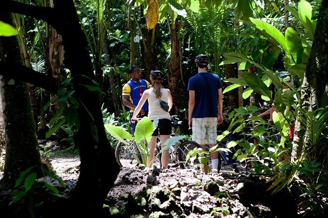 St Lucia Bike and Hike - Who should book this half-day outing?