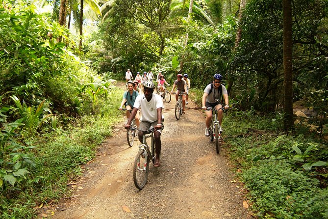 St Lucia Bike and Hike - Picking up the bikes in Dennery