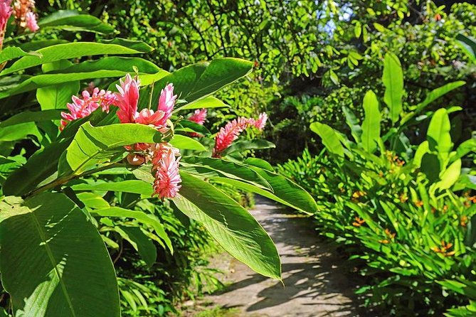 St. Lucia Botanical Gardens and Waterfall Tour Groups only - Key Details Before You Book