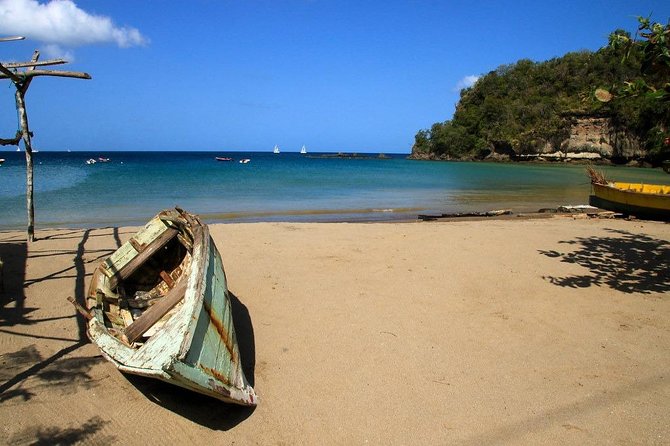 St. Lucia Botanical Gardens and Waterfall Tour Groups only - The Private Vehicle: Comfort and Personal Attention