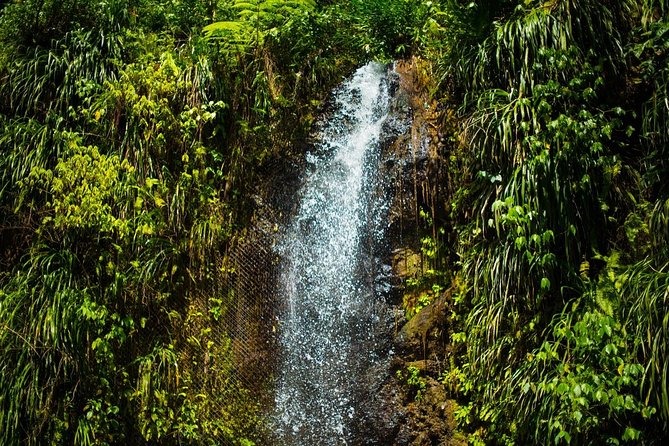 St Lucia Cruise Ship Excursion - The guide can make or break this island day