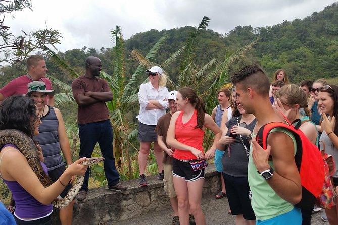 St Lucia Customize Private Island Tour - Diamond Falls Gardens and Toraille Waterfall