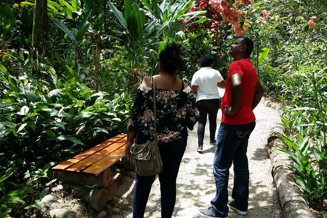 St Lucia Diamond Mineral and Mud Baths Plus Waterfall Adventure - Guides who shape the day