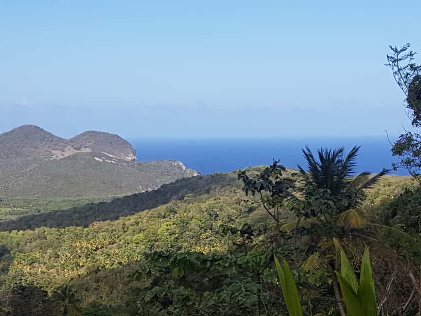 St Lucia: Gros Piton 4-Hour Guided Hike - Is the private format good value?