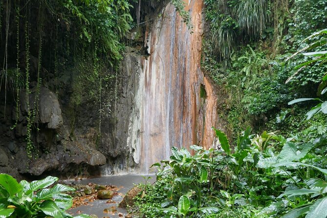 St Lucia Island Excursion Day Tour - Botanical Gardens and Toraille Waterfall