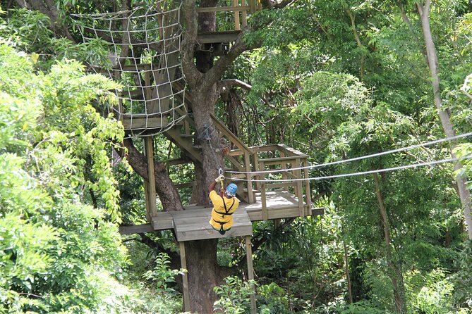St. Lucia Morne Coubaril Estate Zipline Experience - Who will enjoy this St. Lucia activity most?