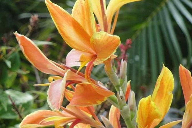 St Lucia Northern Island Tour - The private vehicle matters on Saint Lucia’s winding roads