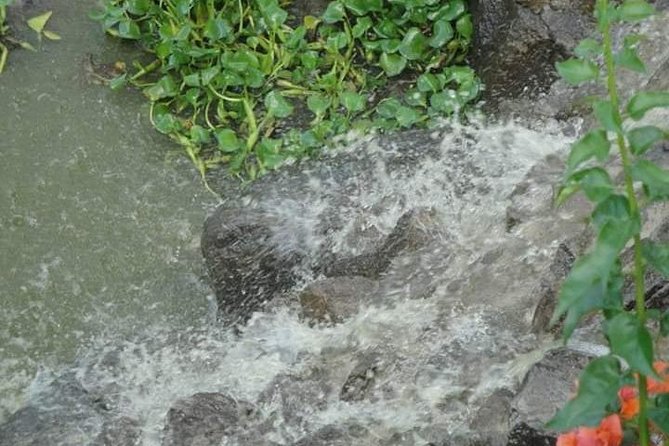 St Lucia Northern Island Tour - Timing, weather, and who should book