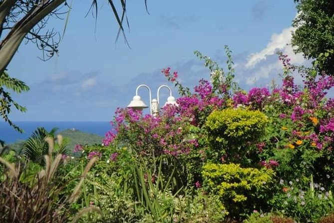 St Lucia Northern Island Tour - Gardens and mini forests turn a short walk into a lesson