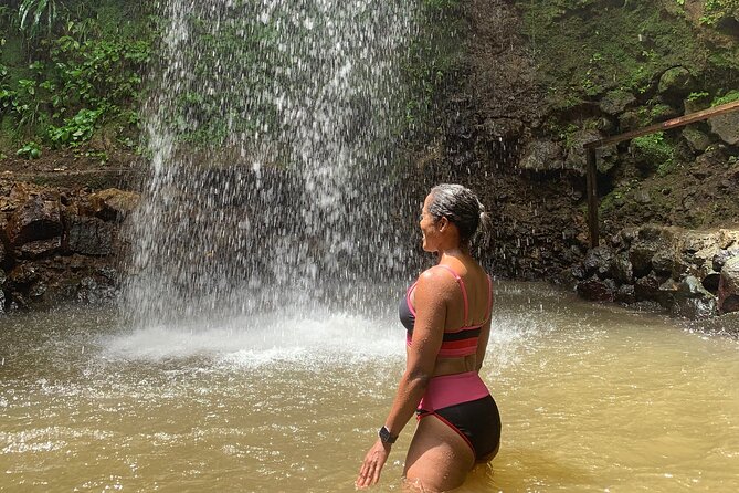 St Lucia Pitons Waterfalls and Mud Bath Experience. - Who should book this excursion?