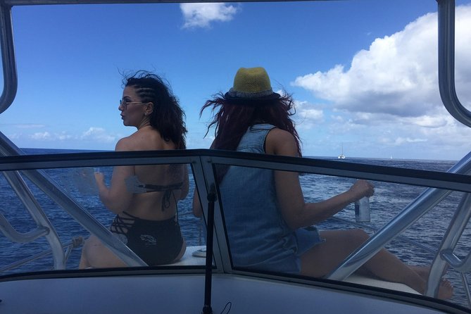 St. Lucia Private Boat Tour, Mud Bath, Waterfall & Beach Time - Sugar Beach and Jalousie Beach for swimming