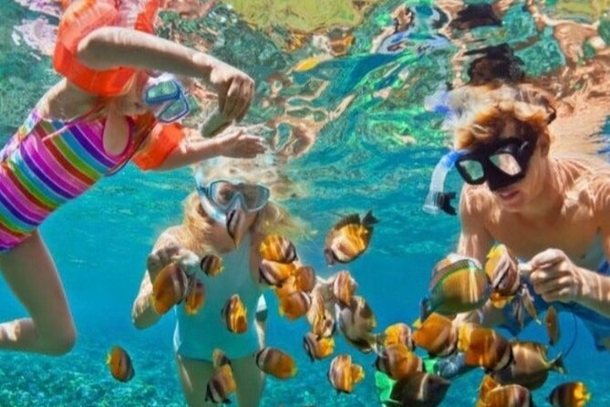 St Lucia Private Boat Tour/Sightseeing/Snorkeling - Why a private boat makes sense in St. Lucia