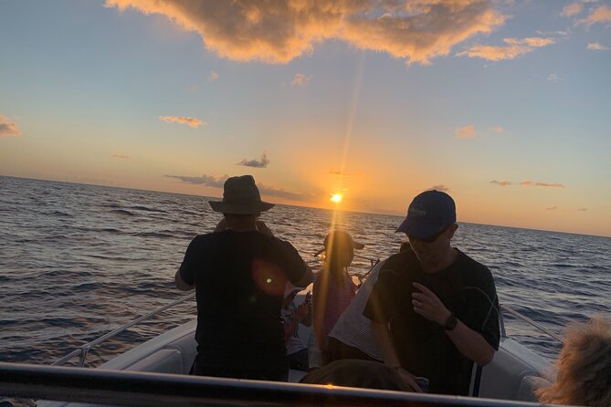 St. Lucia Private Sunset Cruise - Marigot Bay and Rodney Bay - Rodney Bay Marina and the modern coast