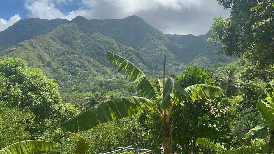 St. Lucia: Safi Estate, Volcano Waterfalls Experience - Key points to know before you book