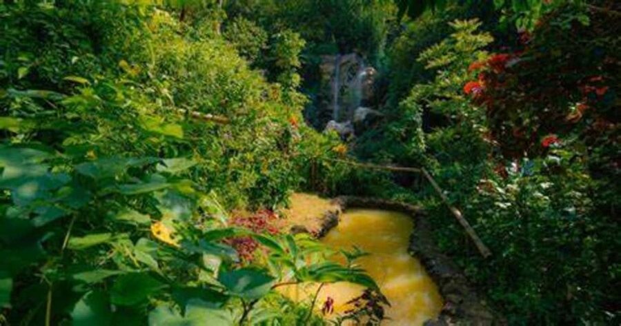 St. Lucia: Safi Estate, Volcano Waterfalls Experience - A 90-minute walk through Safi Estate