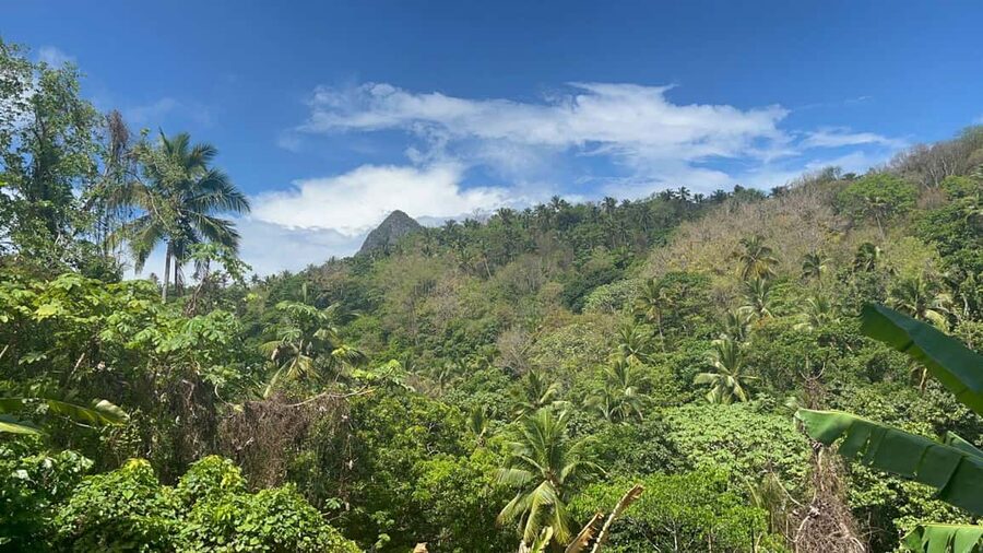 St. Lucia: Safi Estate, Volcano Waterfalls Experience - Fruit trees, coffee, and stories from earlier generations