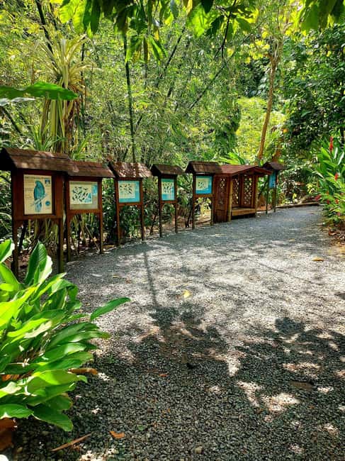 St. Lucia: Scenic Nature Hike & Botanical Garden Escape - Key points to know before booking
