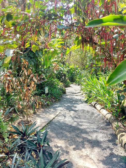 St. Lucia: Scenic Nature Hike & Botanical Garden Escape - Why this six-hour outing works