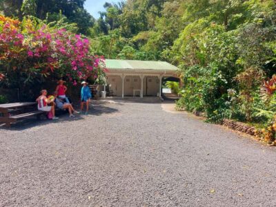 St. Lucia: Scenic Nature Hike & Botanical Garden Escape