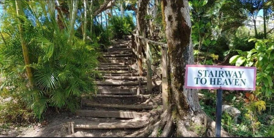 St. Lucia: Scenic Nature Hike & Botanical Garden Escape - Anse La Raye and Canaries by road