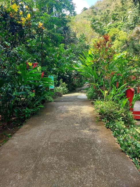St. Lucia: Scenic Nature Hike & Botanical Garden Escape - Diamond Falls Botanical Gardens for plant lovers